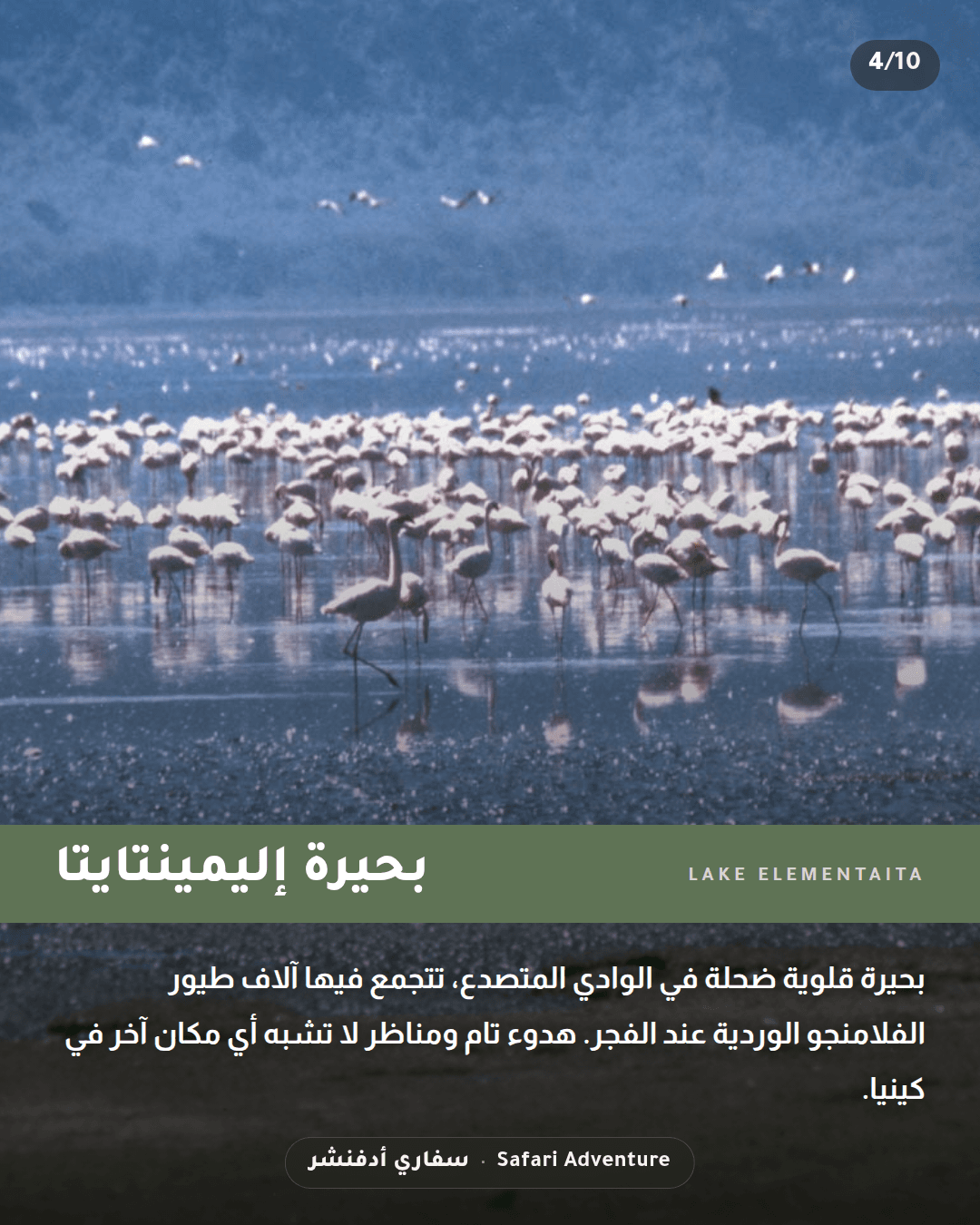 ركوب قارب في نيفاشا وزيارة محمية المزرعة — المبيت في إلمنتايتا
